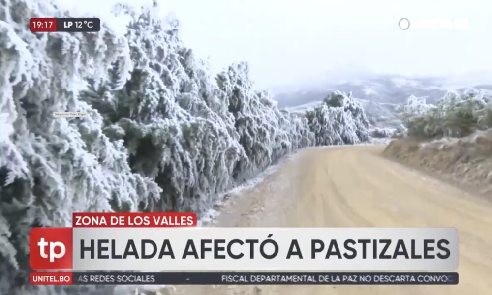 A neve cobre as áreas altas de Santa Cruz e reduz as temperaturas para -5,5 graus