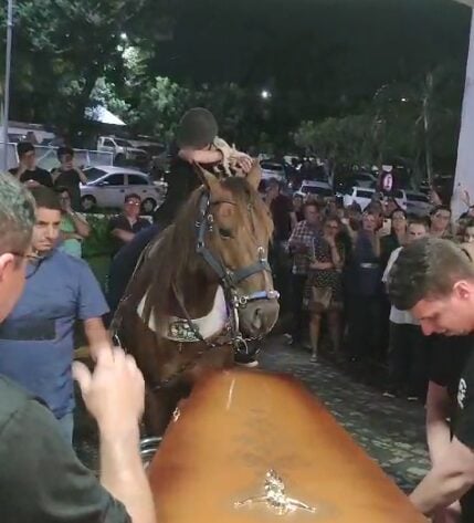 Cavalo se despede de vaqueiro que morreu após mal súbito em Currais Novos; veja vídeo