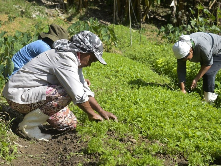 Edital Convocação de Assembleia Geral Associação Terra Viva Agricultura Familiar de Porto Velho