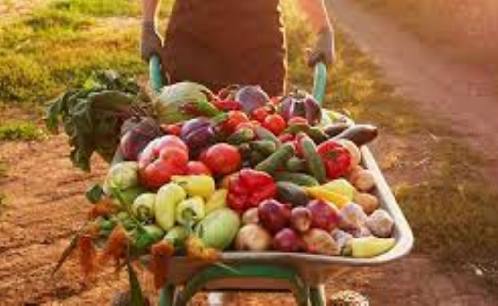 Edital de Reativação da Associação dos Chacareiros e Produtores Hortifrutigranjeiros Adelino Ramos-Achar de Porto Velho