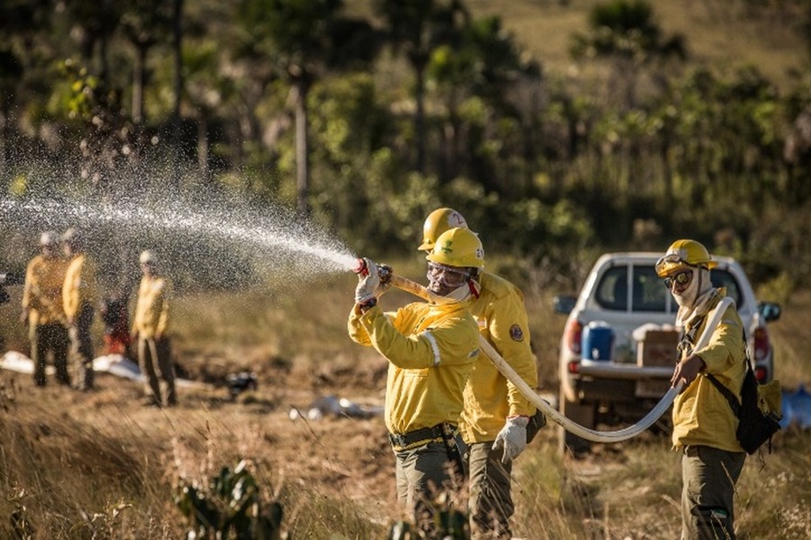 Processo Seletivo do ICMbio está com inscrições abertas para nível fundamental em Rondônia