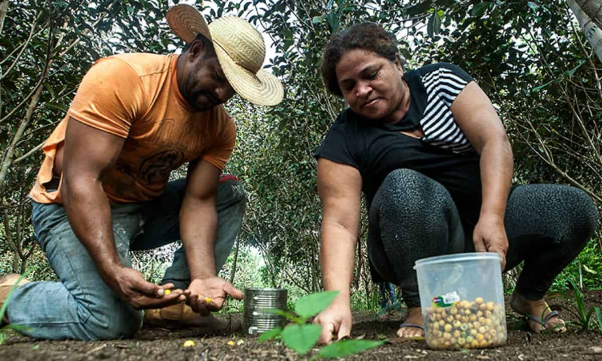 Processo seletivo: Incra oferece mais de 40 vagas em assentamento no interior do Acre