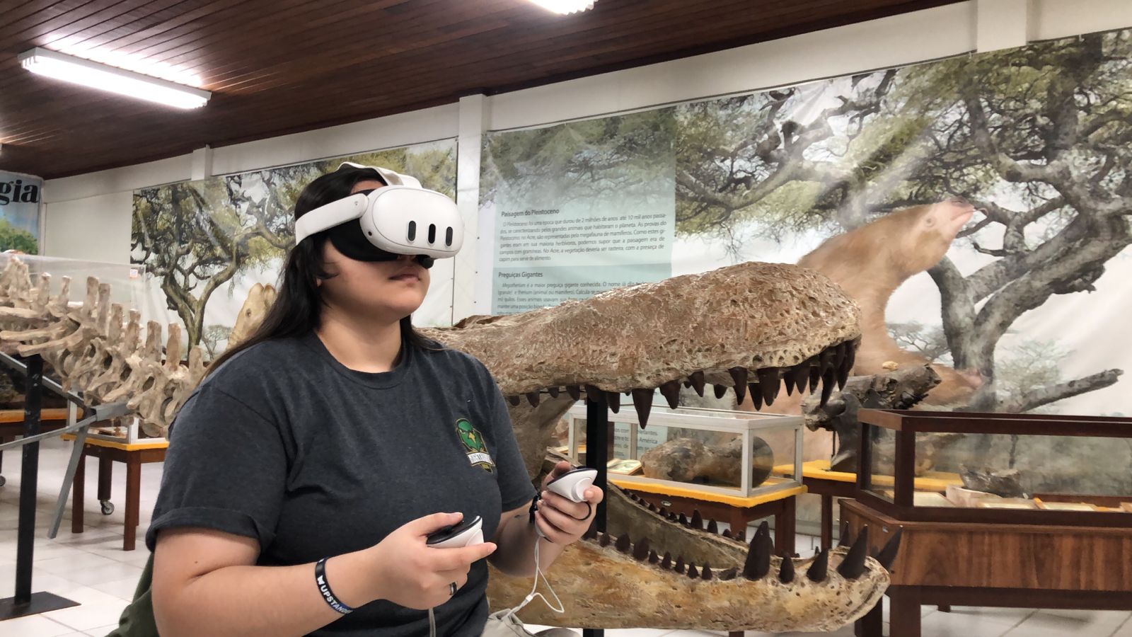 Ufac inaugura museu virtual 3D com fósseis de milhões de anos – ac24horas.com