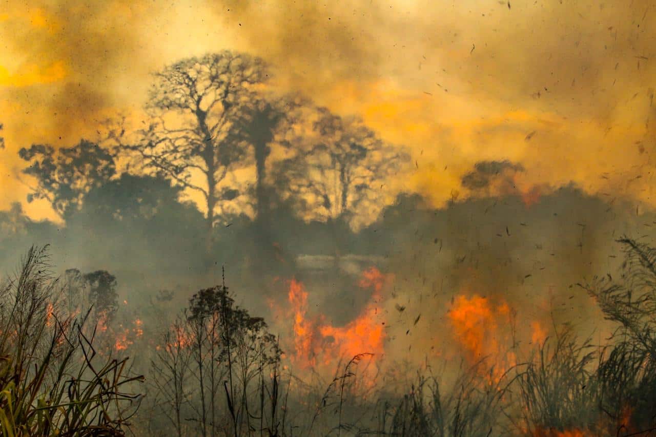 Amazônia tem 2,5 milhões de hectares queimados em agosto – ac24horas.com