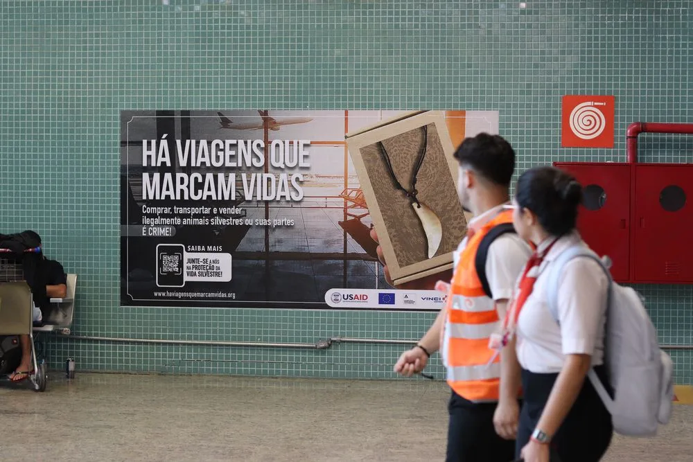 Aeroportos do Acre aderem a campanha contra tráfico de animais silvestres