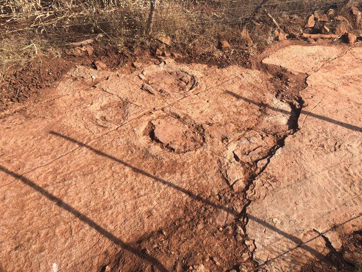 Cientistas da UFRN encontram pegadas de dinossauro de 125 milhões de anos no interior do Nordeste