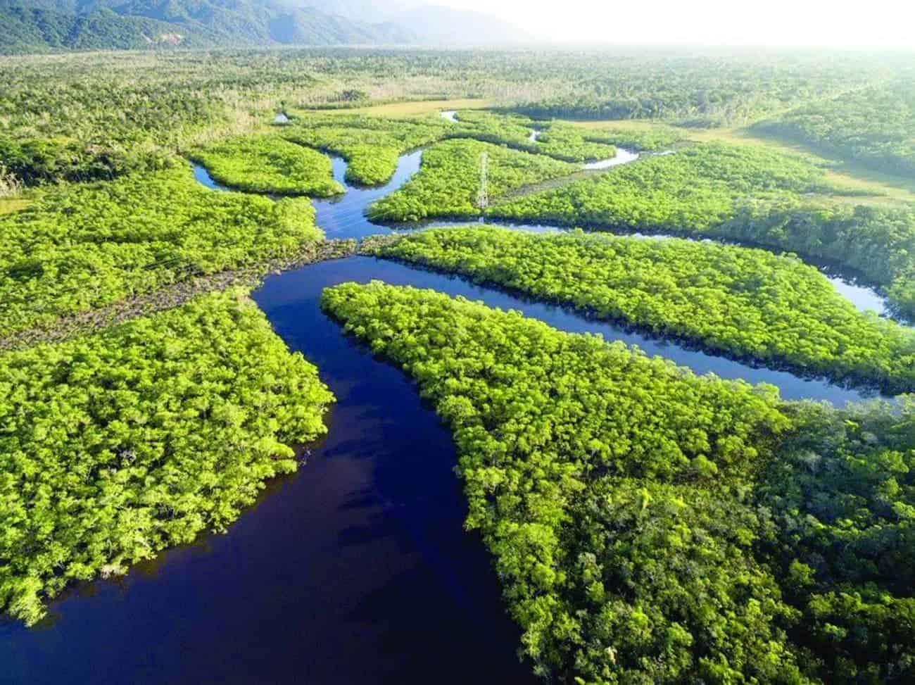 Fundo Amazônia recebe R$ 270 milhões em nova doação dos Estados Unidos – ac24horas.com