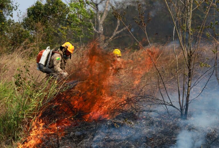 Governo intensifica ações de controle e mitigação para minimizar os efeitos da seca