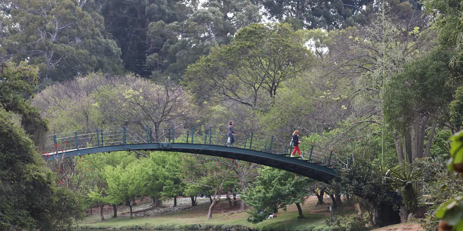 Hoje é Dia: Ibirapuera, Getúlio e Leminski são destaques da semana