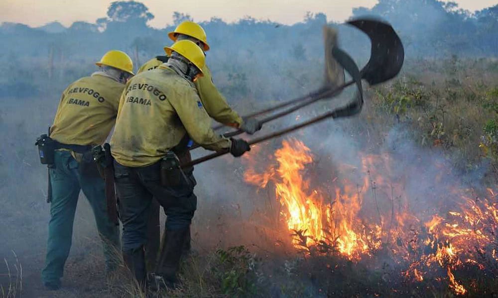 Ibama autoriza contratação de brigadas contra incêndios no Acre