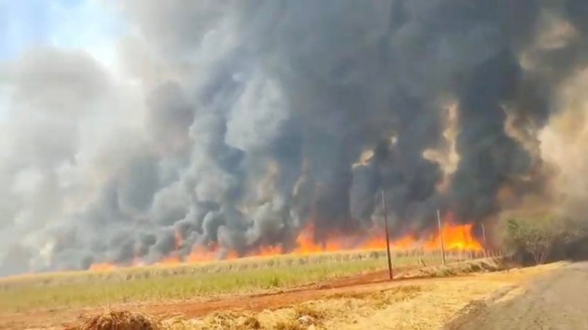 PF abre dois inquéritos para investigar suposta ação criminosa em incêndios no interior de SP