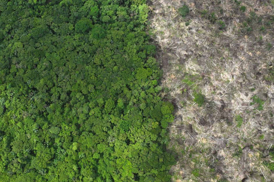 “Sem atacar o desmatamento, nada prospera”, diz secretário do Meio Ambiente à CNN