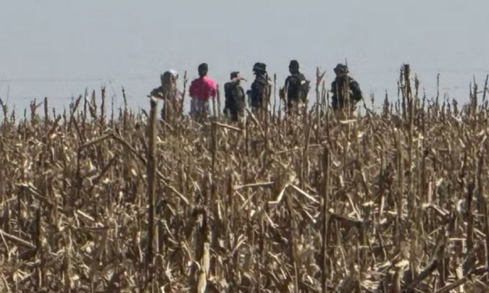 Tensão no campo aumenta com indefinição sobre Marco Temporal. Confronto deixa 11 feridos no MS