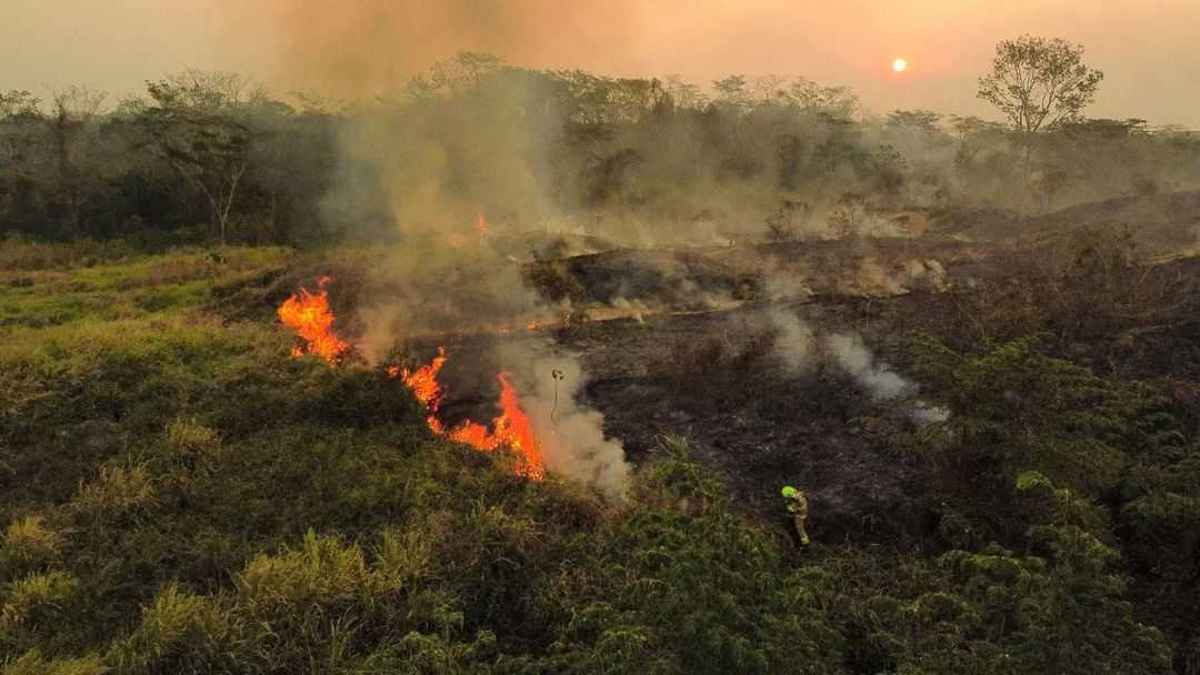 Acre registra quase 300 focos de queimadas em 24 horas; acumulado do ano já passa dos 5,4 mil