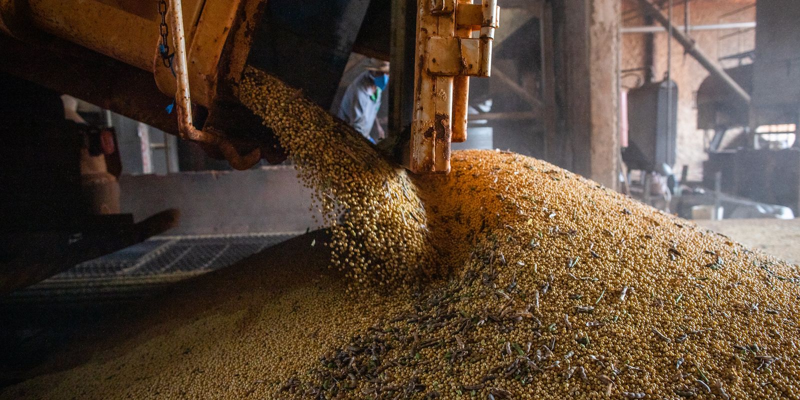 Após seis anos em alta, valor da produção agrícola cai 2,3% em 2023