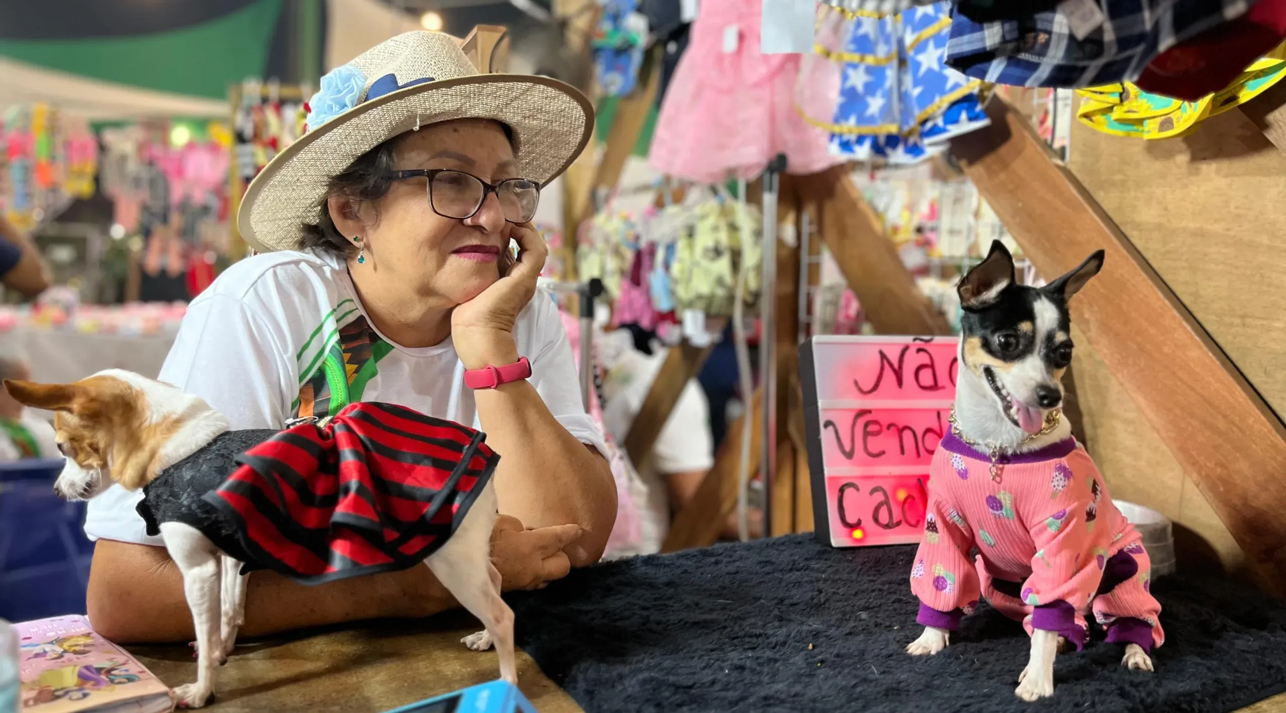 Ateliê animal: Modelos de quatro patas chamam atenção em banca de look pet na Expoacre