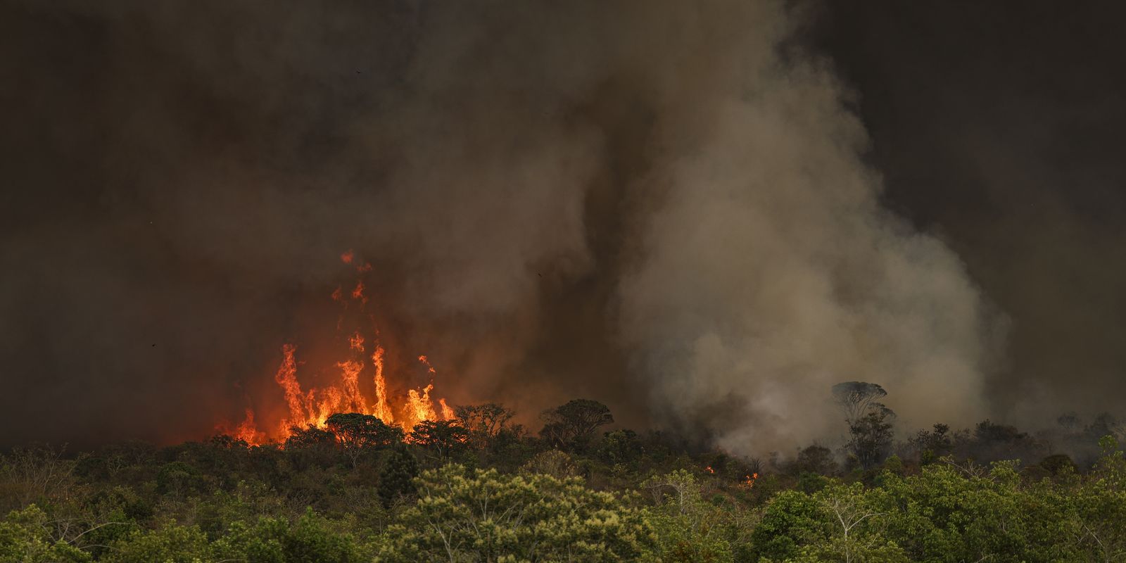 Brasil tem 22,38 milhões de hectares atingidos pelo fogo em nove meses