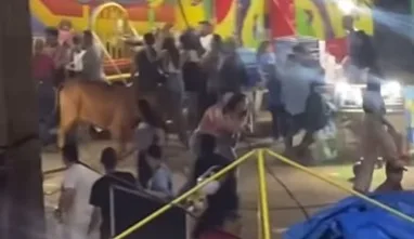 Boi foge da arena de rodeios e invade parque de diversões na Expoacre