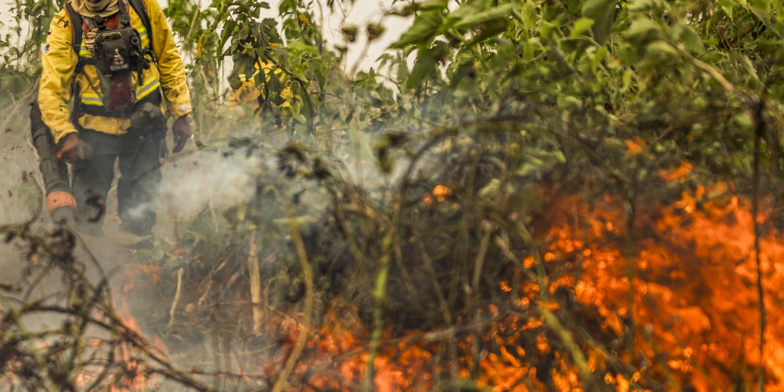 Brasil já registou mais de 154 mil focos de calor este ano