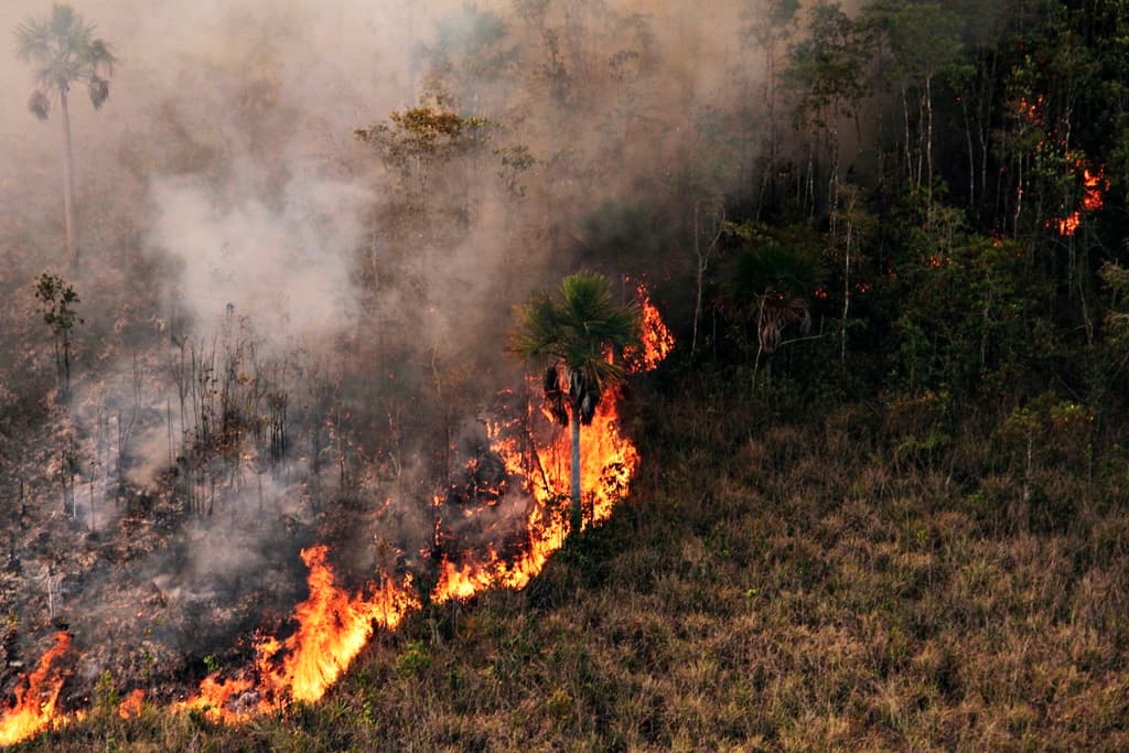 Brasil registrou 2,7 mil focos de incêndio nas últimas 24 horas – ac24horas.com