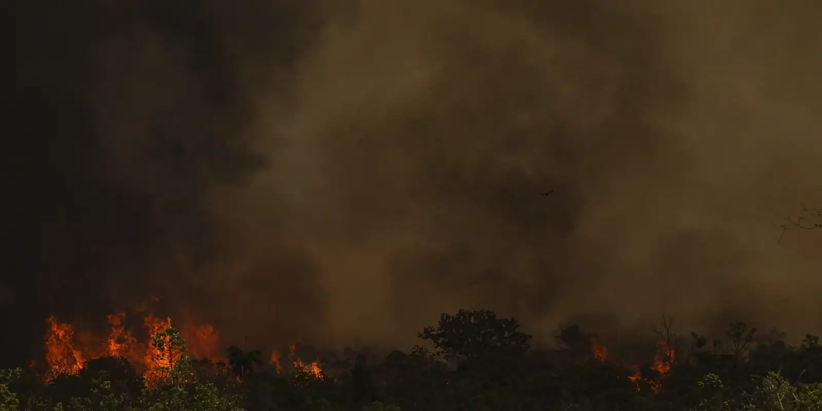 Chuva ajuda a apagar incêndio no Parque da Serra dos Órgãos, no Rio