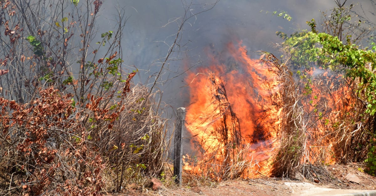 Em apenas 15 dias, Roraima registra mais de 40 focos de incêndio