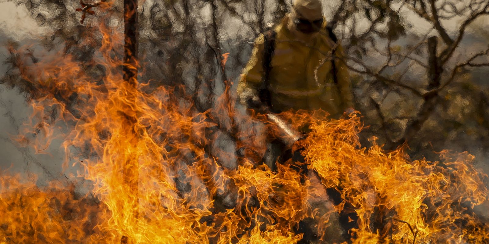 Entenda as linhas de investigação dos incêndios florestais no país