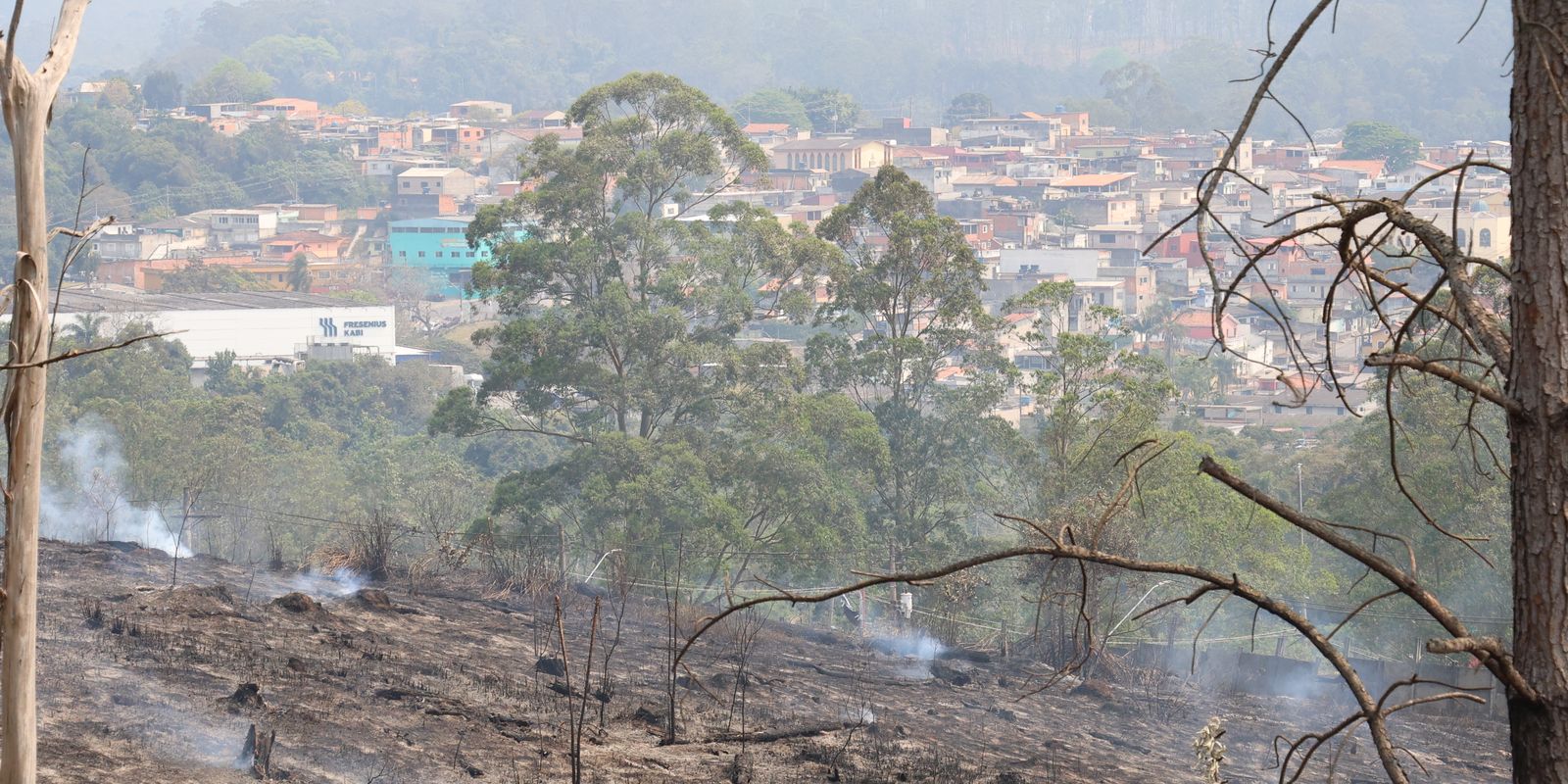 Estado de São Paulo amanhece com 11 focos de incêndio