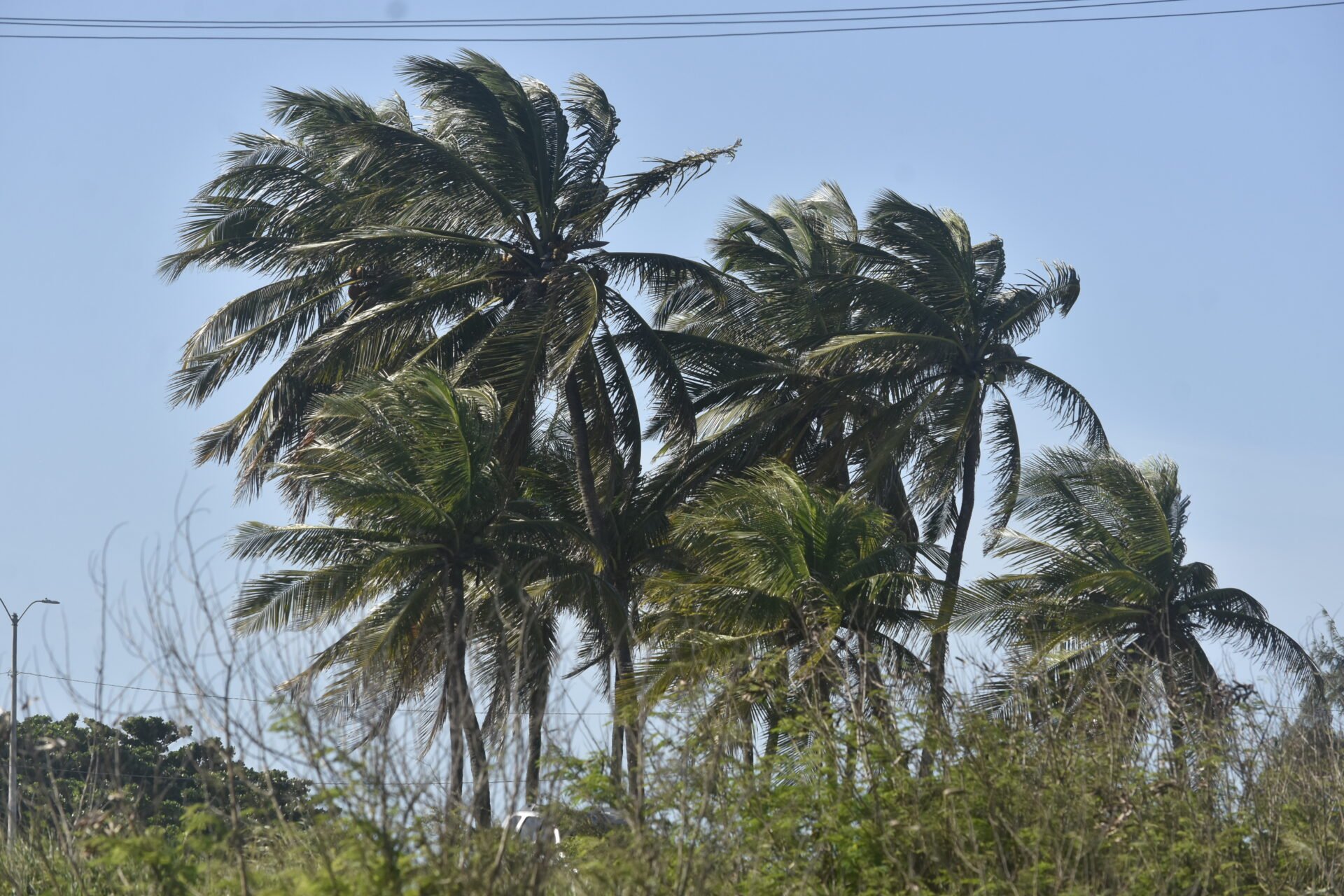 Fim de semana tem alertas de ventos de até 60 km/h no RN; confira