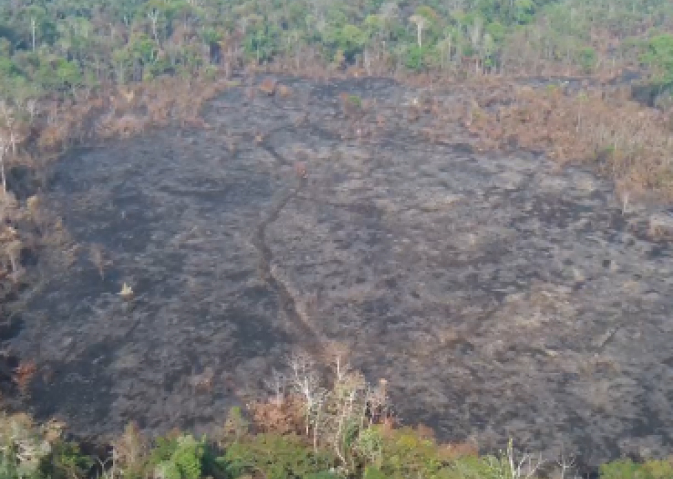 Fogo queima mais de 100 hectares em terra indígena na Serra do Divisor – ac24horas.com