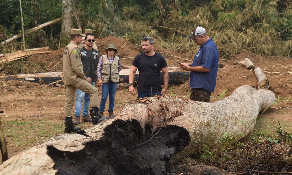 Integração entre Sema e bombeiros coordena ações nas operações de fiscalização contra o fogo no interior do estado