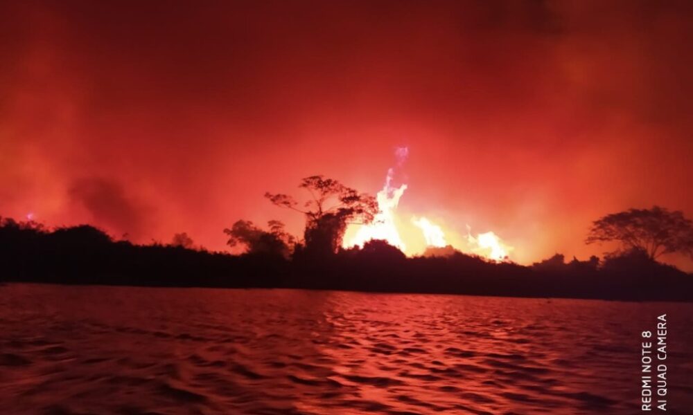 Mato Grosso autoriza pecuária em áreas de proteção para prevenir incêndios