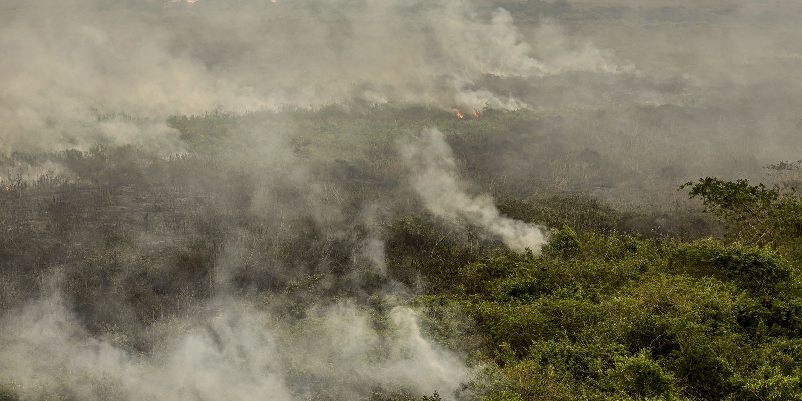 Militares do Exército começam a combater incêndios no Tocantins