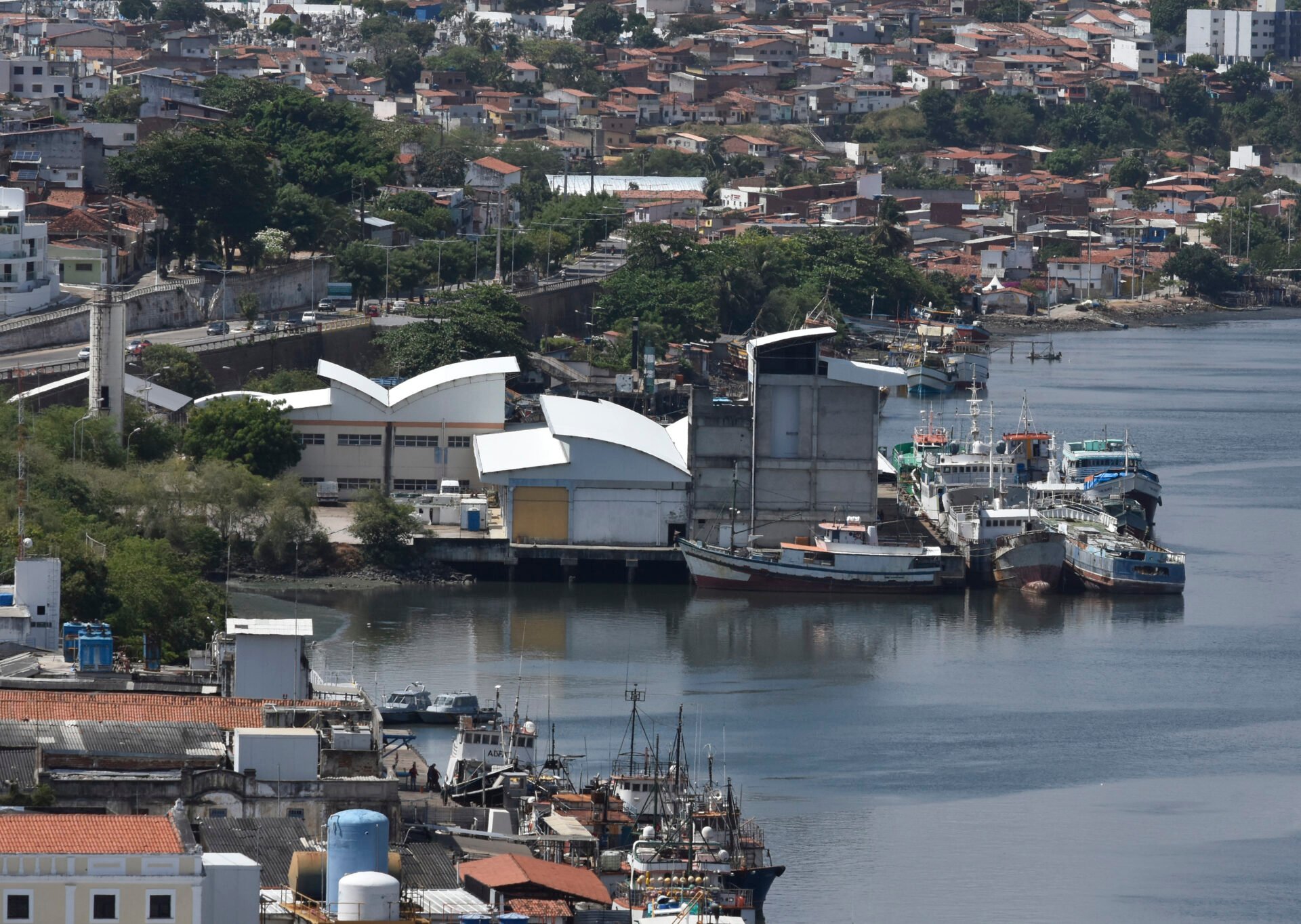 Novo leilão do TPP Natal tem previsão de ocorrer em dezembro