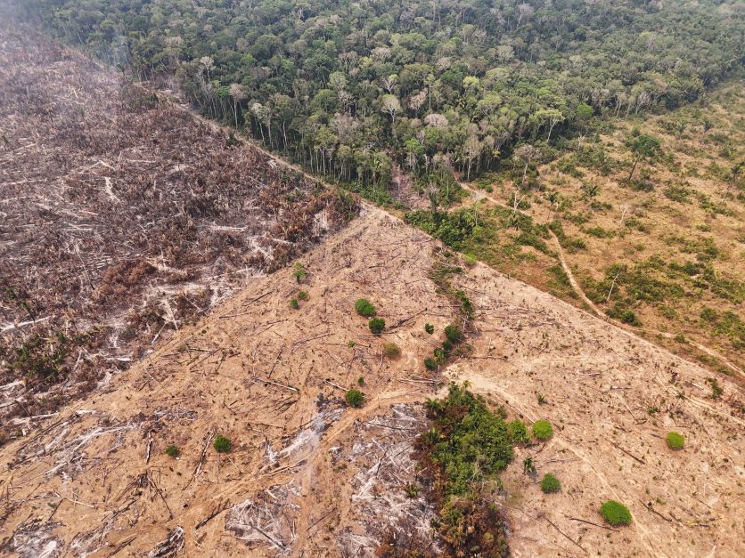 Precisamos debater as queimadas ao invés de culpar setor produtivo, diz coordenador da FGV Agro