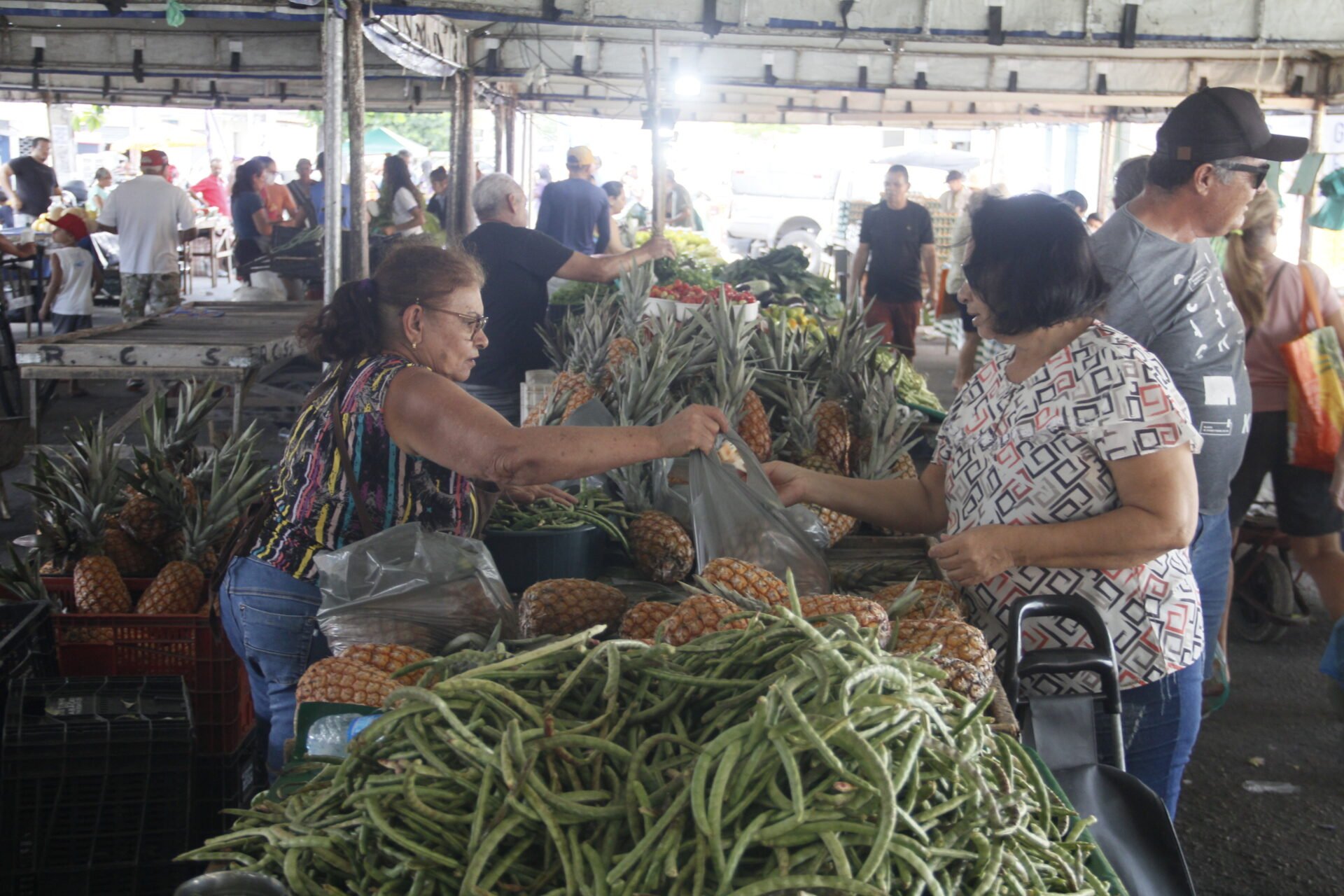 Preço dos alimentos oscilam entre queda de 13,7% à alta de 11,5%