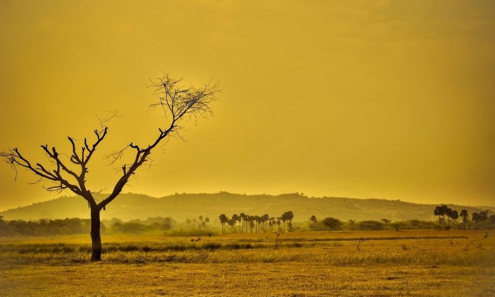 Primavera começa neste domingo, sem previsão de grandes mudanças climáticas