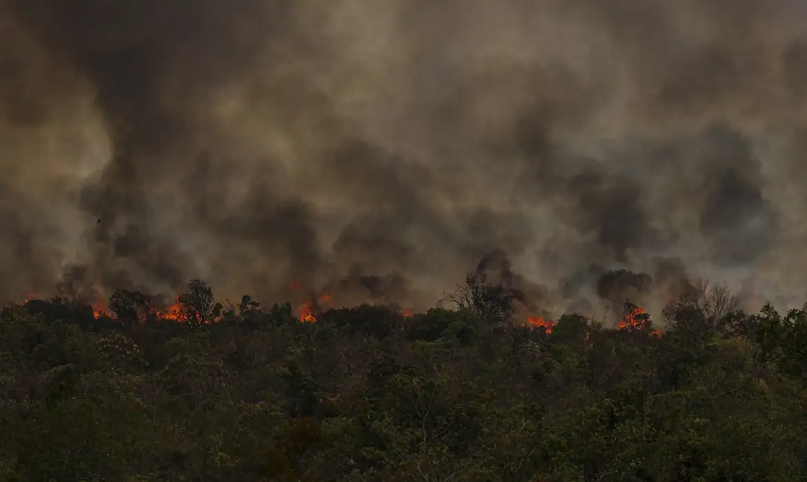 Secretário do MMA vê conotação política em queimadas na Amazônia