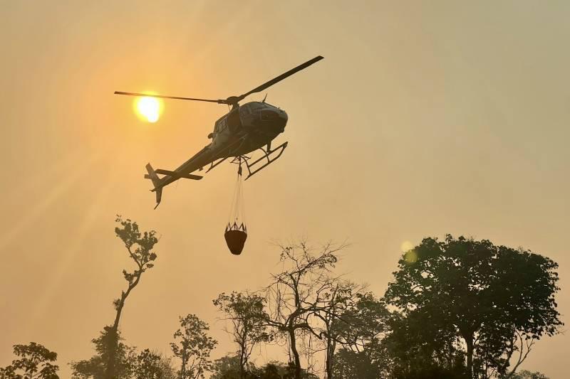 Sede da COP30, Pará decreta emergência por causa das queimadas – ac24horas.com