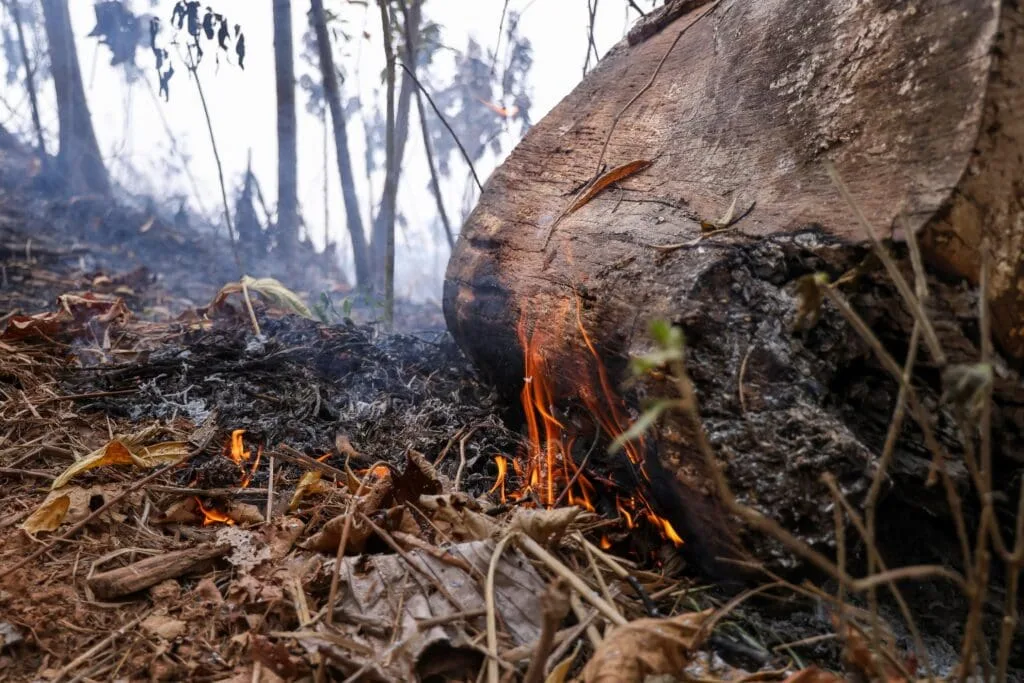 Queimadas dão trégua no Acre em novembro, mas acumulado do ano já supera 8,6 mil focos