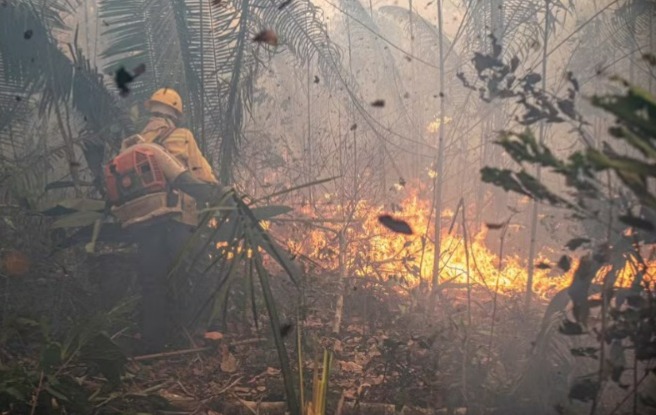 Três pessoas são presas em flagrante suspeitas de envolvimento em incêndios criminosos em Rondônia