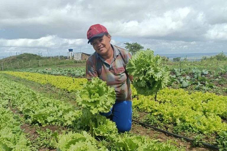 Com investimento de R$ 60 milhões, nova fase do Programa Bolsa Verde alcança 15 mil famílias