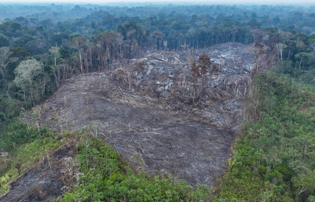 Desmatamento no Acre aumenta 44% em setembro e é o 3º maior da Amazônia Legal, aponta Imazon