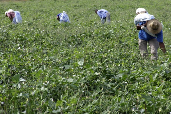 Estado institui política pública de incentivo ao empreendedorismo rural