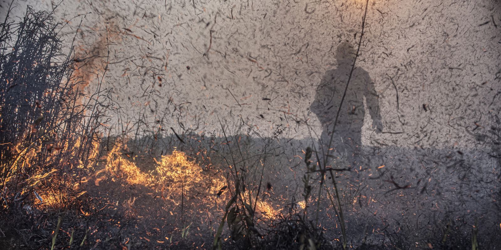 Focos de incêndios no Brasil já são 76% maiores que em 2023