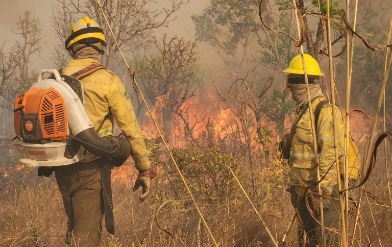 Governo endurece penalidades para quem provocar incêndios florestais