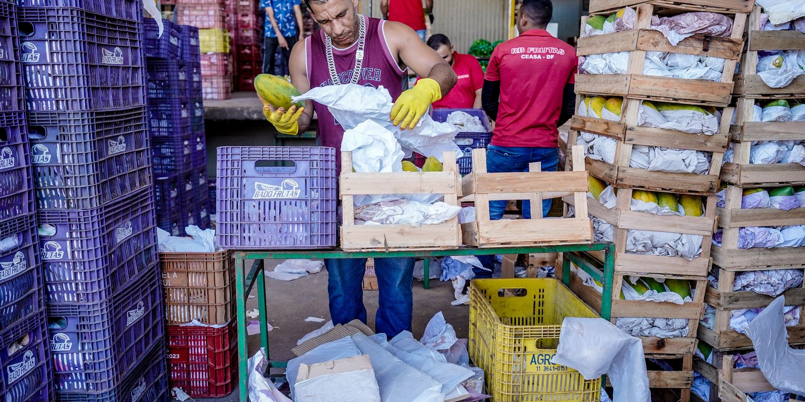 CCJ do Senado aprova redução de imposto para mercados doarem alimentos