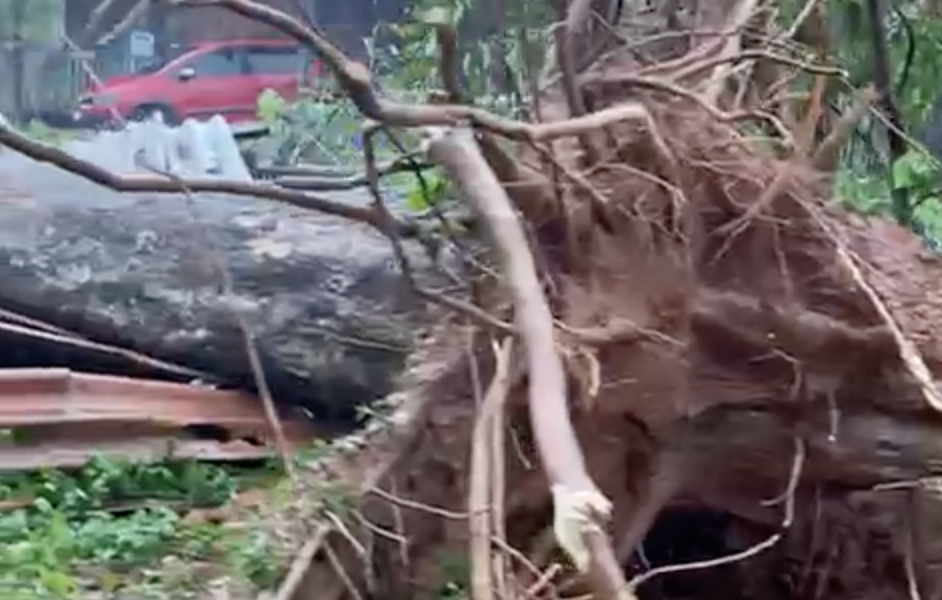 Temporal com granizo causa destruição em cidades na fronteira do Acre