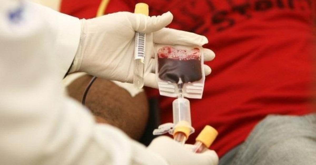 Testemunhas de Jeová tem direito de recusar transfusão de sangue. Entenda