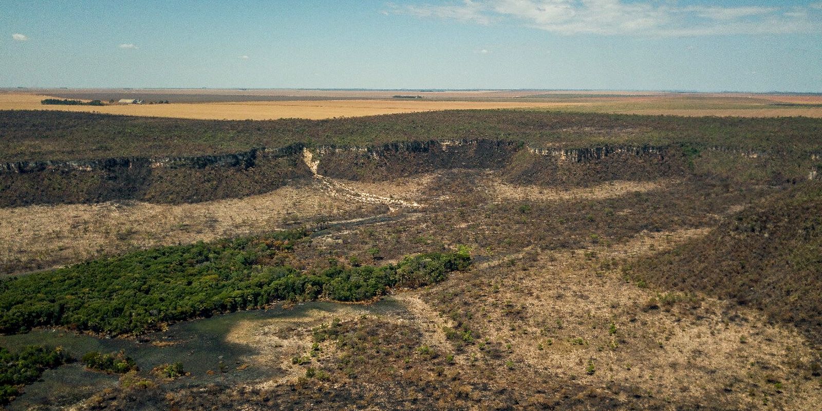 Após cinco anos de aumento, desmatamento no Cerrado tem queda